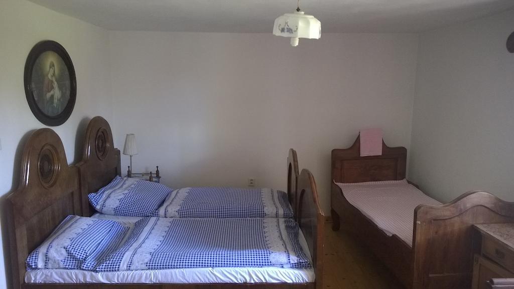 Ubytovani U Giordanu Slavonice Rum bild